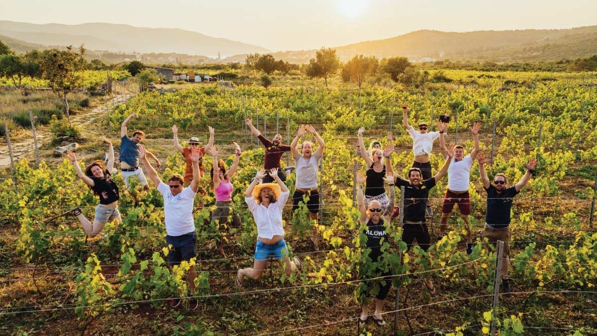 Group of people amongst the vines at Hora Farm in Croatia
