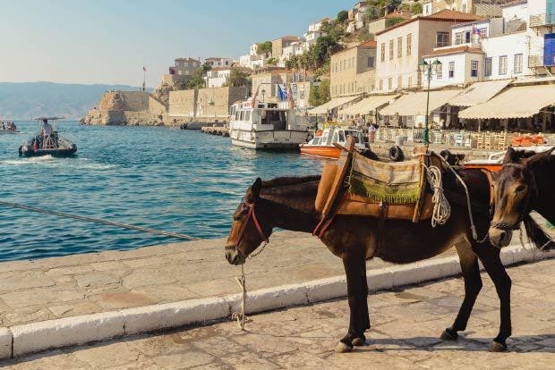 Photo of a donkey in Hydra Greece Saronic Island port.