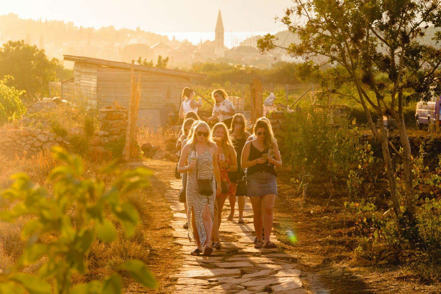 Photo of guests walking through a vineyard at Hora farm in Stari Grad, Croatia. Photo by Ryan Brown of Lostboymemoirs.com